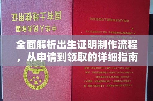 盐都全面解析出生证明制作流程，从申请到领取的详细指南