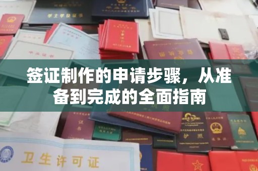 盐都签证制作的申请步骤，从准备到完成的全面指南