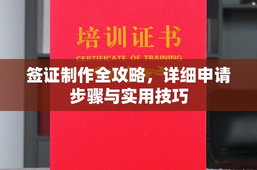 盐都签证制作全攻略，详细申请步骤与实用技巧