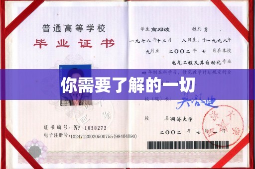 盐都你需要了解的一切